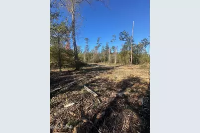 0 Parramore Road, Sneads, FL 32460 - Photo 11