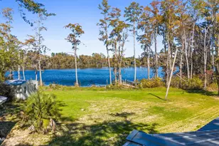 364 Lister Dr, Wewahitchka, FL 32465 - Photo 55