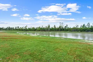 6970 William Pitsenbarger Rd, Panama City, FL 32404 - Photo 33