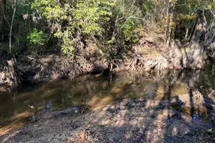 7924 Brandon Rd, Panama City, FL 32404 - Photo 45