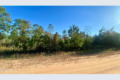 Lot 128 Nezperce Drive, Alford, FL 32420 - Photo 3