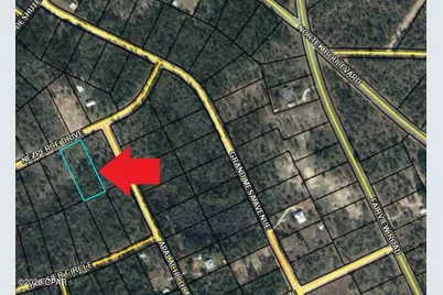 Lot 128 Nezperce Drive, Alford, FL 32420 - Photo 5