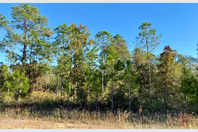Lot 128 Nezperce Drive, Alford, FL 32420 - Photo 1