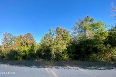 Lot 34 Anderson Drive, Alford, FL 32420 - Photo 1