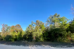 Lot 34 Anderson Dr, Alford, FL 32420 - Photo 1