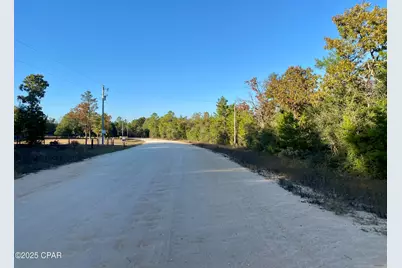 Lot 34 Anderson Drive, Alford, FL 32420 - Photo 3