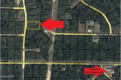 Lot 34 Anderson Drive, Alford, FL 32420 - Photo 5