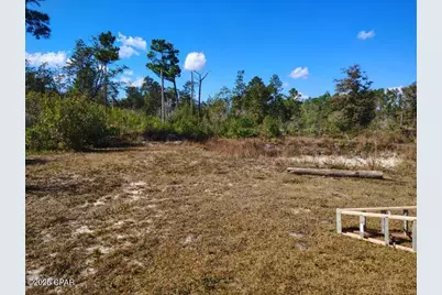 22884 NW Lake McKinzie Boulevard, Altha, FL 32421 - Photo 7