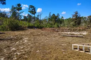 22884 NW Lake McKinzie Blvd, Altha, FL 32421 - Photo 7