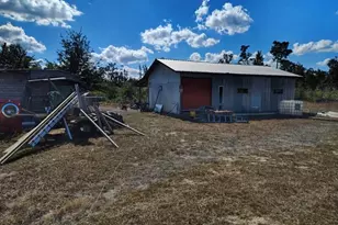 22884 NW Lake McKinzie Blvd, Altha, FL 32421 - Photo 5