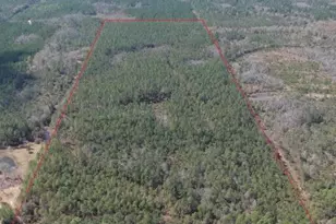 60 Acres Jw Miller Rd, Bonifay, FL 32425 - Photo 1