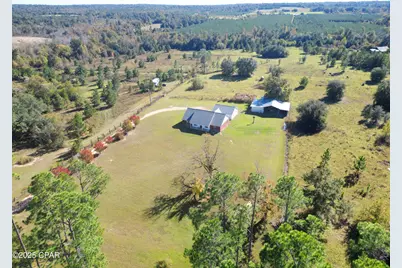 2683 Curlee Road, Sneads, FL 32460 - Photo 3