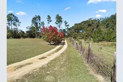 2683 Curlee Road, Sneads, FL 32460 - Photo 13