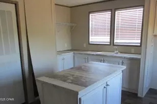 22243 NW Isoletta Ln, Altha, FL 32421 - Photo 21