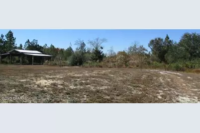 22243 NW Isoletta Lane, Altha, FL 32421 - Photo 9