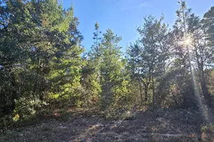 000 Warwick Dr, Chipley, FL 32428 - Photo 1