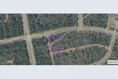 0 Elkcam Boulevard, Chipley, FL 32428 - Photo 9