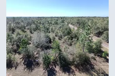 0 Elkcam Boulevard, Chipley, FL 32428 - Photo 3
