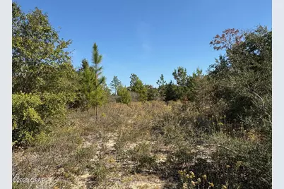 0 Elkcam Boulevard, Chipley, FL 32428 - Photo 11