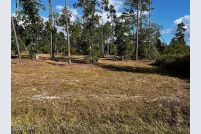 00 Jarrott Daniels Road, Wewahitchka, FL 32465 - Photo 5