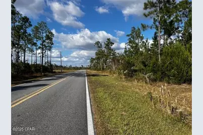 00 Jarrott Daniels Road, Wewahitchka, FL 32465 - Photo 11
