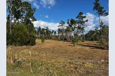 00 Jarrott Daniels Road, Wewahitchka, FL 32465 - Photo 9