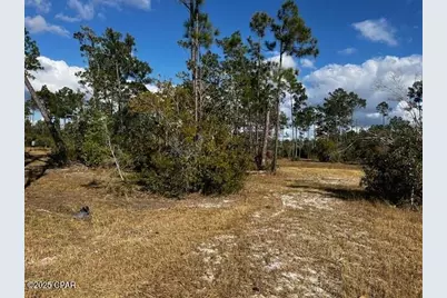 00 Jarrott Daniels Road, Wewahitchka, FL 32465 - Photo 17