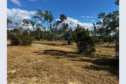 00 Jarrott Daniels Road, Wewahitchka, FL 32465 - Photo 15