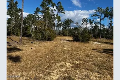 00 Jarrott Daniels Road, Wewahitchka, FL 32465 - Photo 13