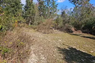 140 Elm Way, Panama City, FL 32404 - Photo 41