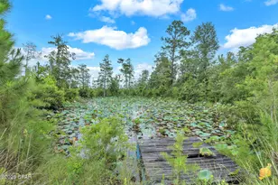 140 Elm Way, Panama City, FL 32404 - Photo 5