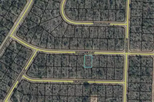 0 Bloomfield St, Chipley, FL 32428 - Photo 1