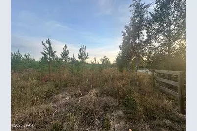 000 Bright Prospect Road, Marianna, FL 32448 - Photo 5