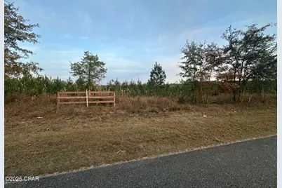 000 Bright Prospect Road, Marianna, FL 32448 - Photo 1