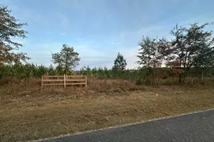 000 Bright Prospect Rd, Marianna, FL 32448 - Photo 1