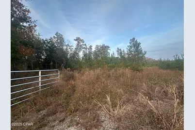 000 Bright Prospect Road, Marianna, FL 32448 - Photo 7