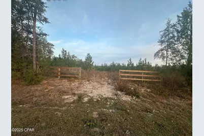 000 Bright Prospect Road, Marianna, FL 32448 - Photo 3