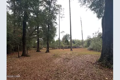 5853 Catalina Lane, Greenwood, FL 32443 - Photo 55