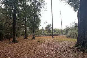 5853 Catalina Ln, Greenwood, FL 32443 - Photo 55