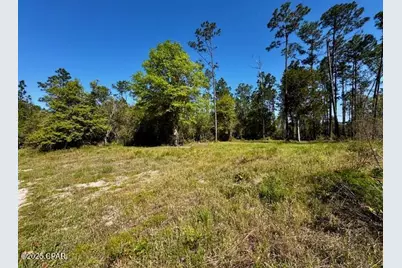 Tbd Akers Trail, Chipley, FL 32428 - Photo 1