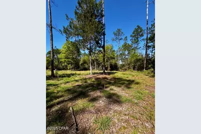 Tbd Akers Trail, Chipley, FL 32428 - Photo 5
