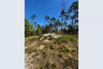 Tbd Akers Trail, Chipley, FL 32428 - Photo 3