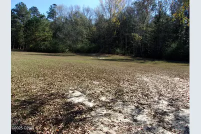 1097 Joy Meadows Circle, Bonifay, FL 32425 - Photo 33