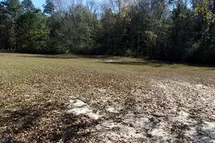 1097 Joy Meadows Cir, Bonifay, FL 32425 - Photo 33