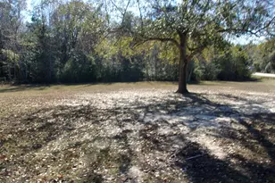 1097 Joy Meadows Cir, Bonifay, FL 32425 - Photo 29