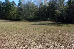 1097 Joy Meadows Cir, Bonifay, FL 32425 - Photo 35