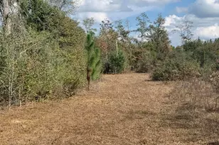 8225 SW County Road 12, Youngstown, FL 32466 - Photo 65