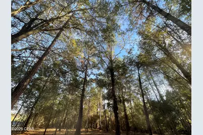 1555 Highway 177A, Bonifay, FL 32425 - Photo 9