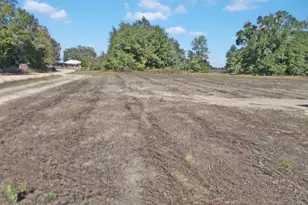 6905 Bateau Pond Ln, Grand Ridge, FL 32442 - Photo 19