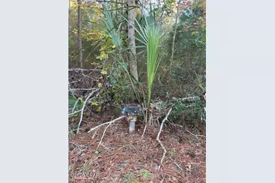 3389 Gainer Road, Chipley, FL 32428 - Photo 9